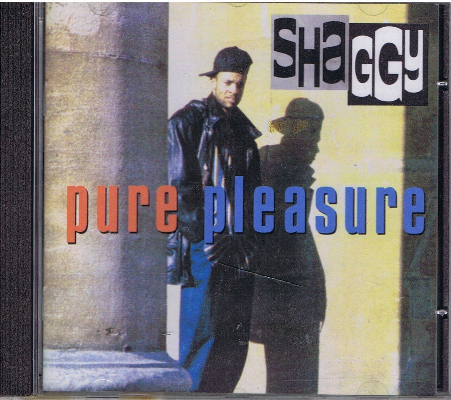 CDs: Shaggy / Pure Pleasure – D'occasion à Unterengstringen par Lastchance