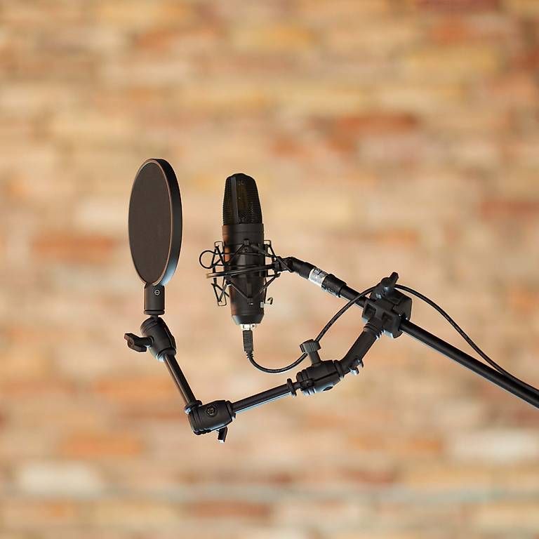 Mikrofone: Mikrofon Pop-Filter mit Gelenkarm – Gebraucht aus zuchwil von bigeye01 2