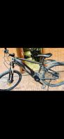 Used (like new) Electric Mountain Bike