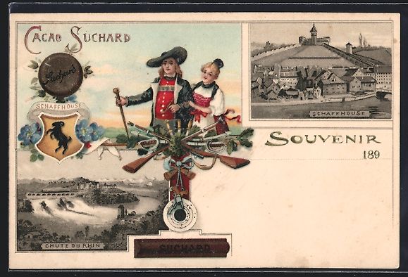 Cartoline postali: Schaffhausen, Teilansicht mit Schloss, R – Usato da Berlin venduto da bartko-reher
