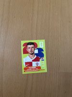 Panini Sticker
