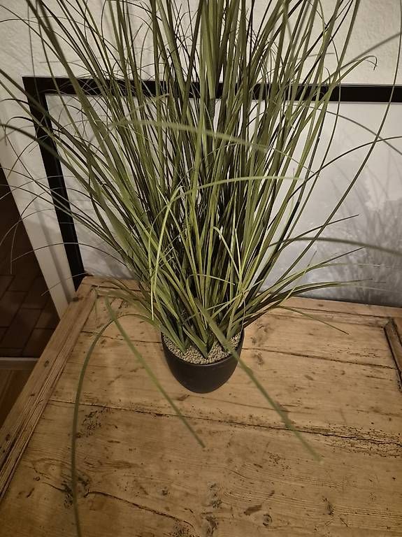 Piante & sementi: Plastikpflanze ca. 90cm hoch – Usato da Zürich venduto da pompiersmartin 1