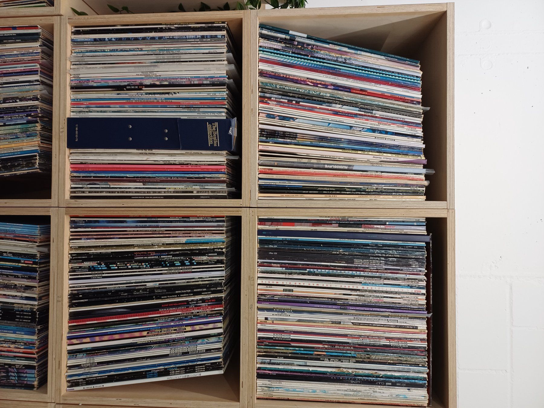 Dischi in vinile: Schallplattensammlung Rock/Pop – Usato da Aesch BL venduto da Reiniger1 1
