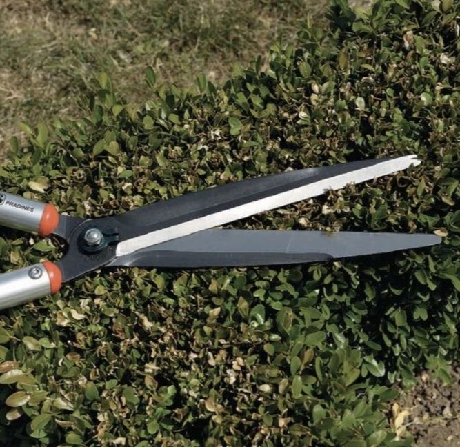 Bahco Tutti gli attrezzi: Heckenschere / Gartenschere - Bahco Professional – Nuovo e nell'imballaggio originale da Reinach BL venduto da HeTra20 2