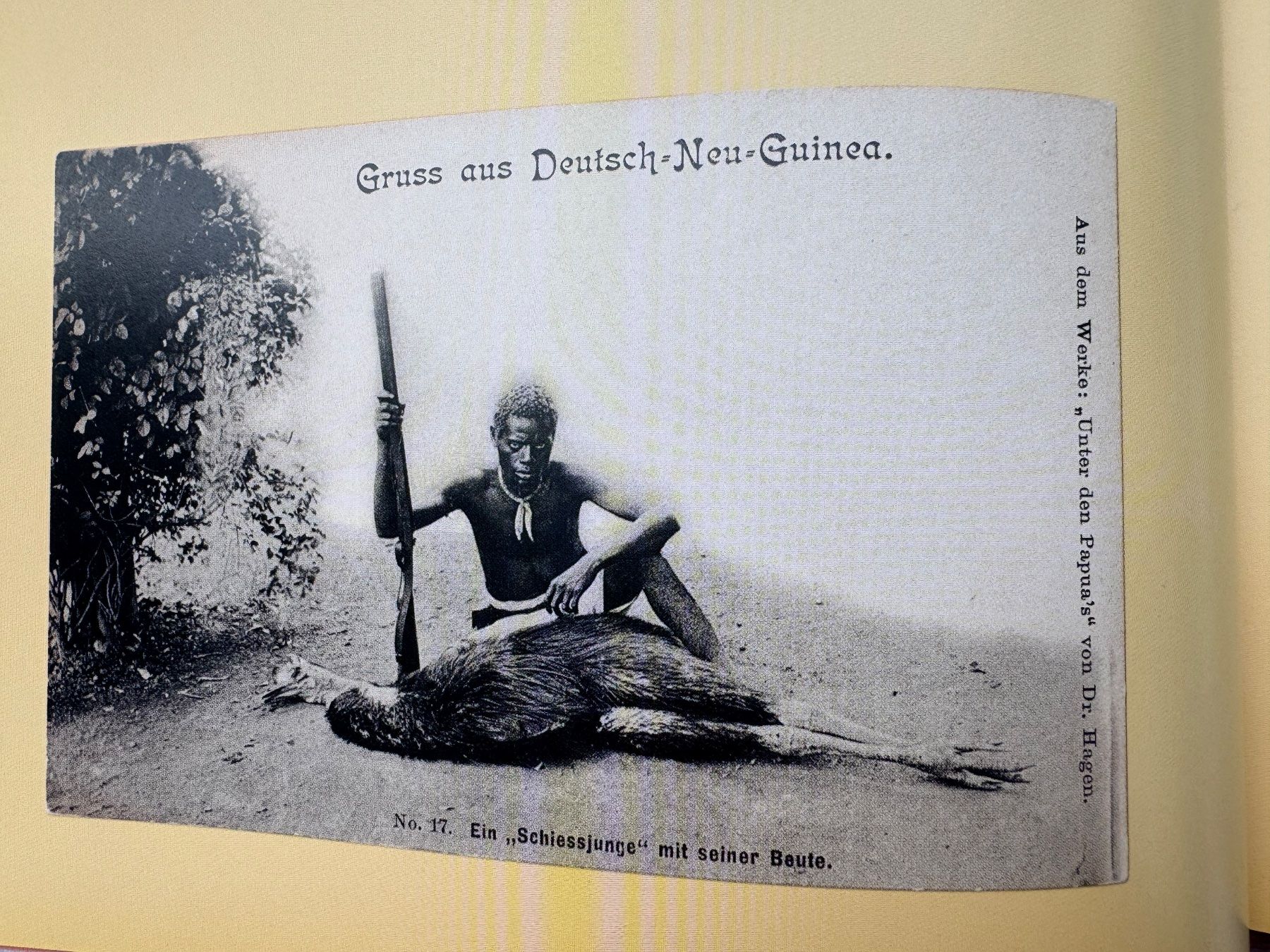 Libri: Ansichtskarten Buch"GRUSS AUS DER FERNE" Auswahl Sammlung – Nuovo (secondo la descrizione) da Zürich venduto da Husopaska 5
