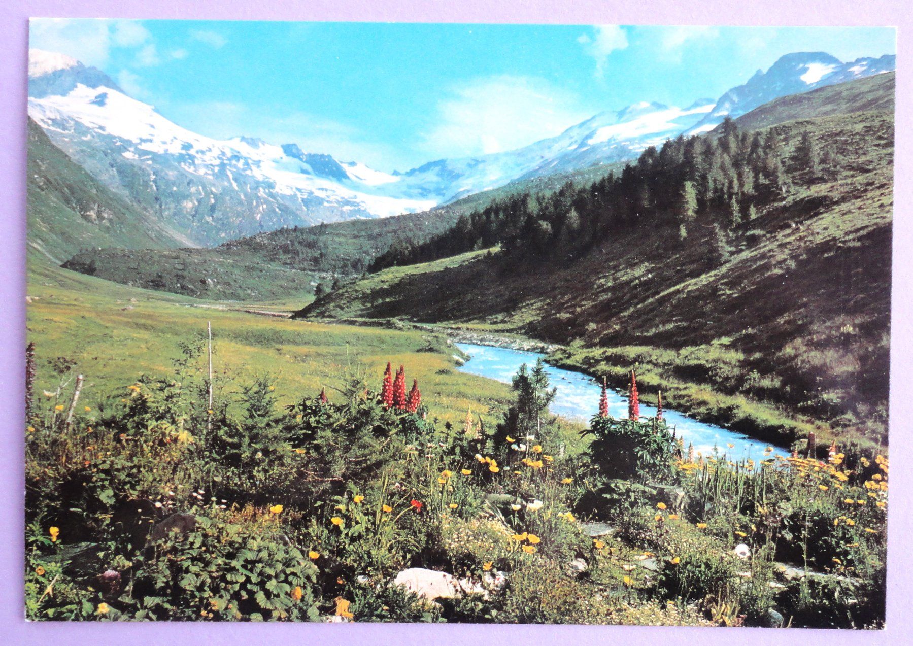 Cartoline postali: Fextal mit Fexgletscher – Usato da Fétigny venduto da Billy2miny