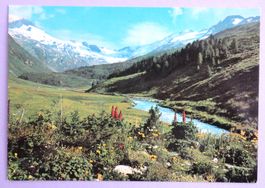 Fextal mit Fexgletscher