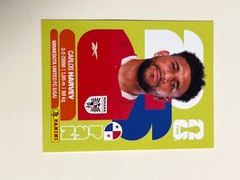 Panini PAN 11 WM2026