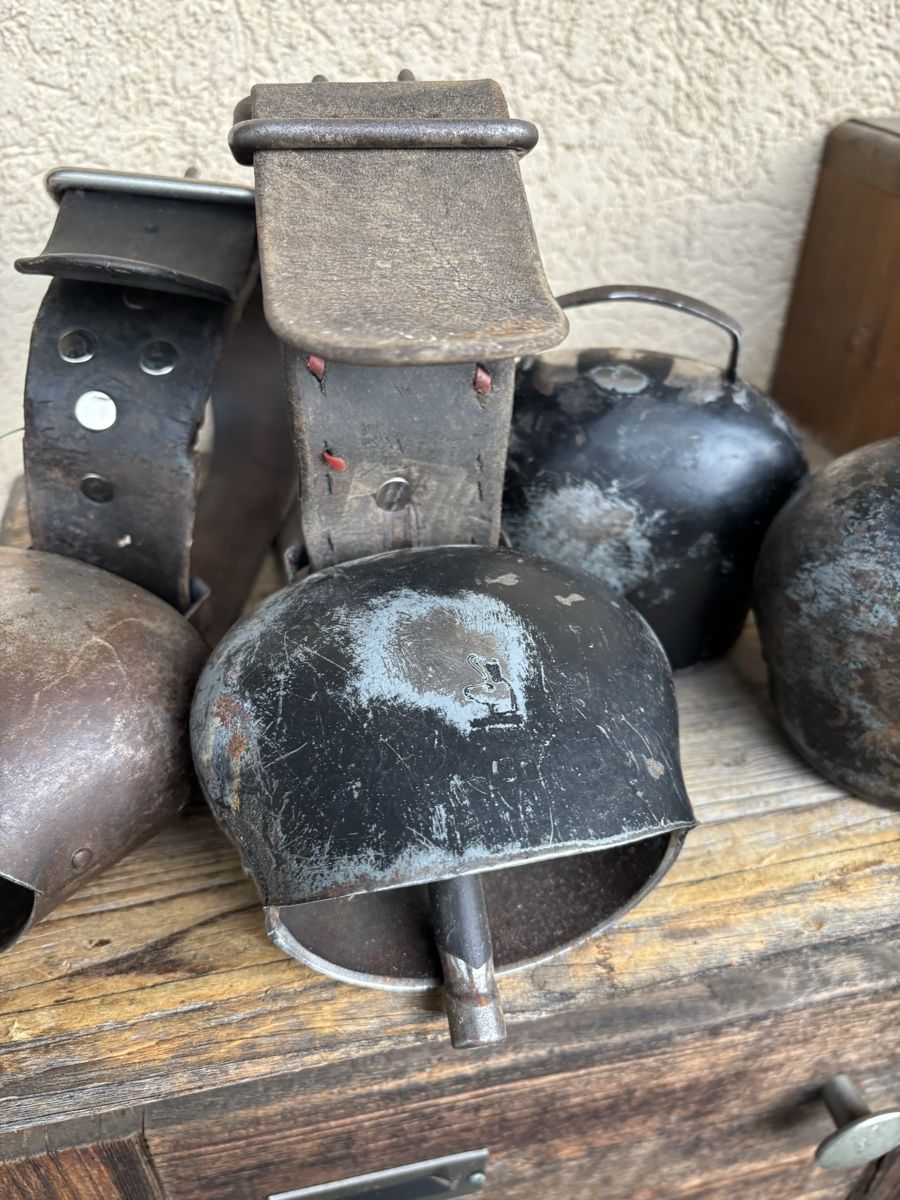 Glocken & Treicheln: 4x Varonne NR 5 – Gebraucht aus Schangnau von Roseggli82 2