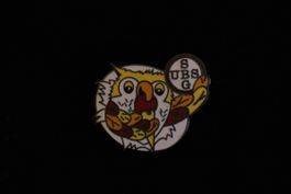 UBS SBG PIN