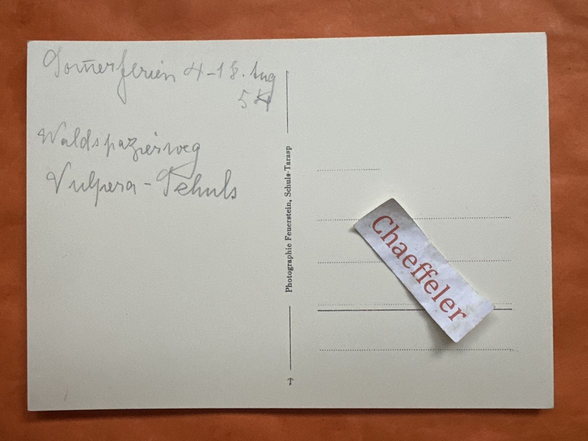 Cartoline postali: 1954 Waldhaus Valpera mit Lischana. 262 – Usato da Zürich venduto da Chaeffeler 1