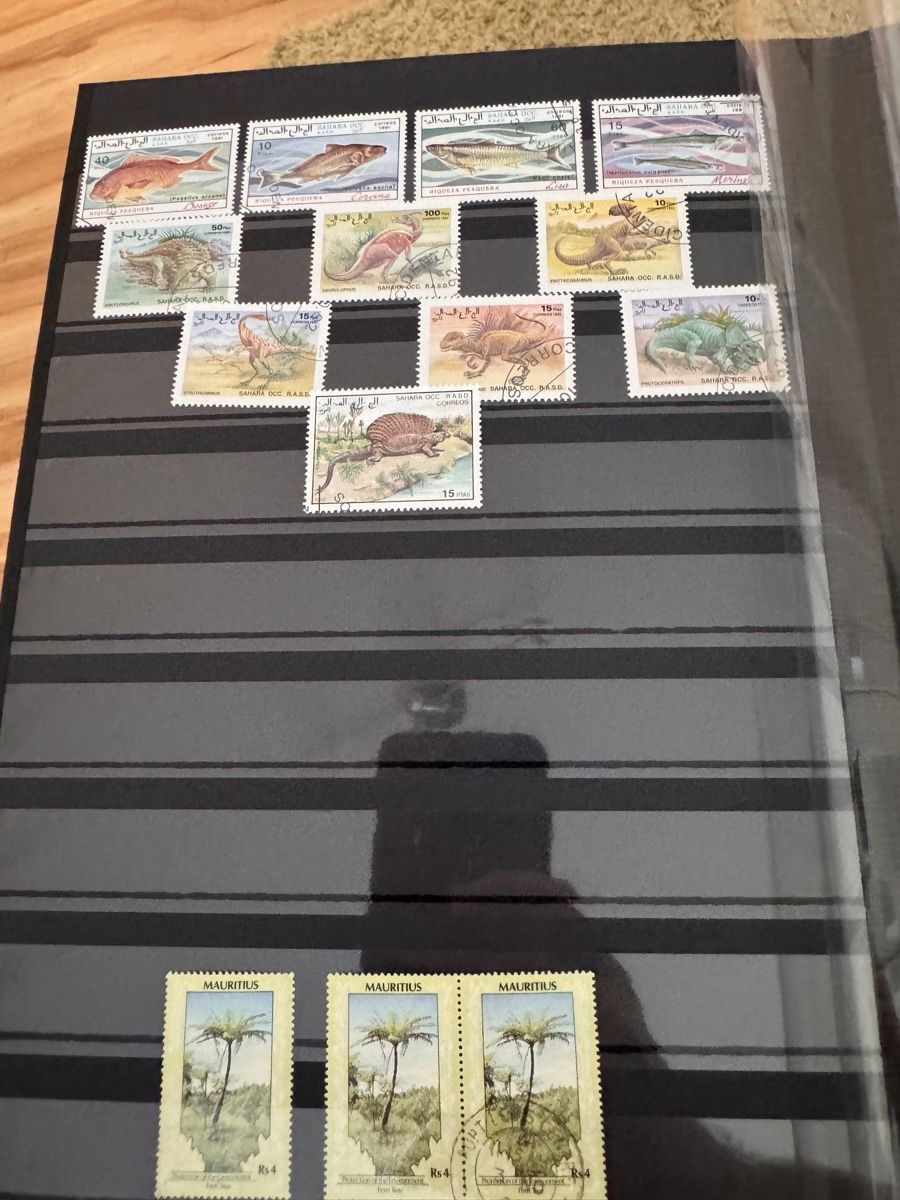 Albums: Briefmarken – D'occasion à Niederhasli par Michael211 3