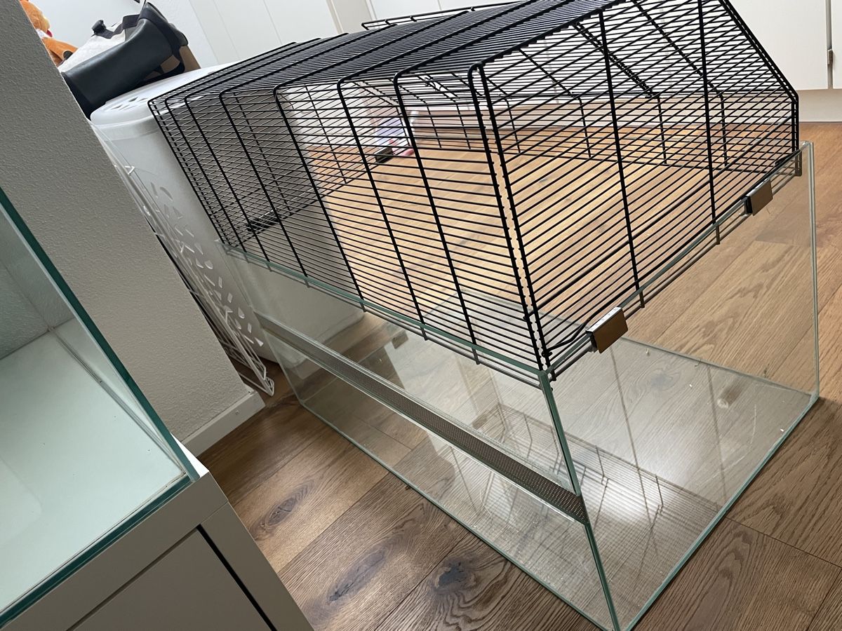 Terrarium: Terrarium Nager – Gebraucht aus Buchrain von famoruwi 3