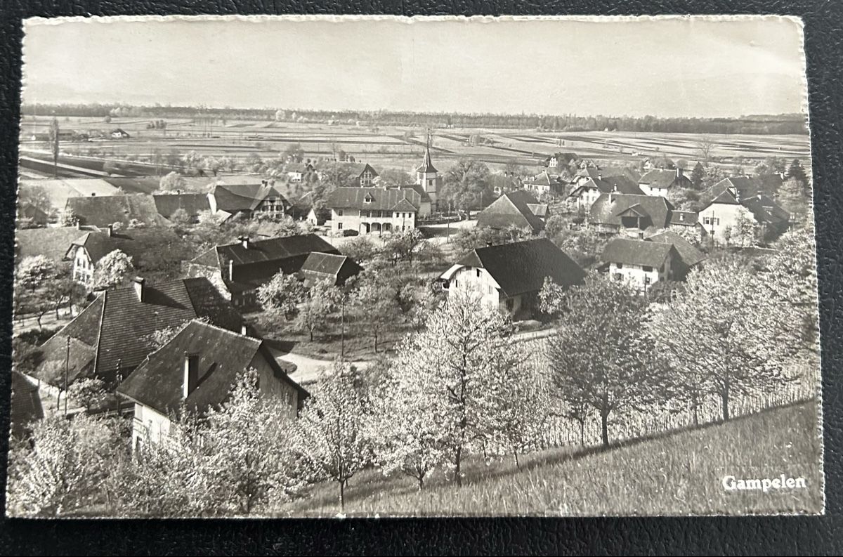Cartoline postali: AK Gampelen  – Usato da Horw venduto da Tellbub