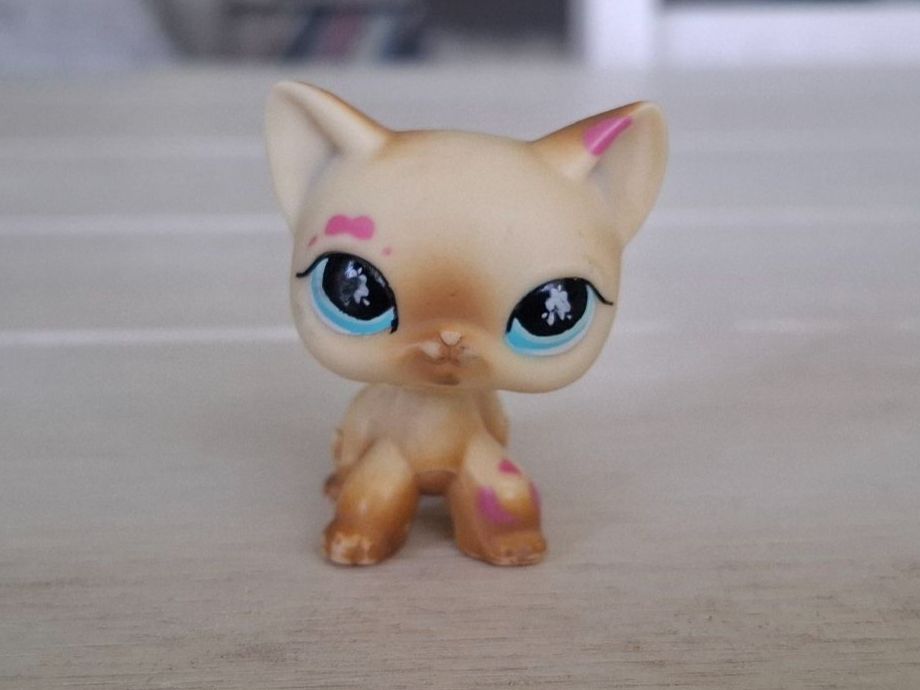 Littlest Pet Shop Giocattoli: LPS Littlest Pet Shop cat  816 – Usato da La Tour-de-Trême venduto da Beamaii