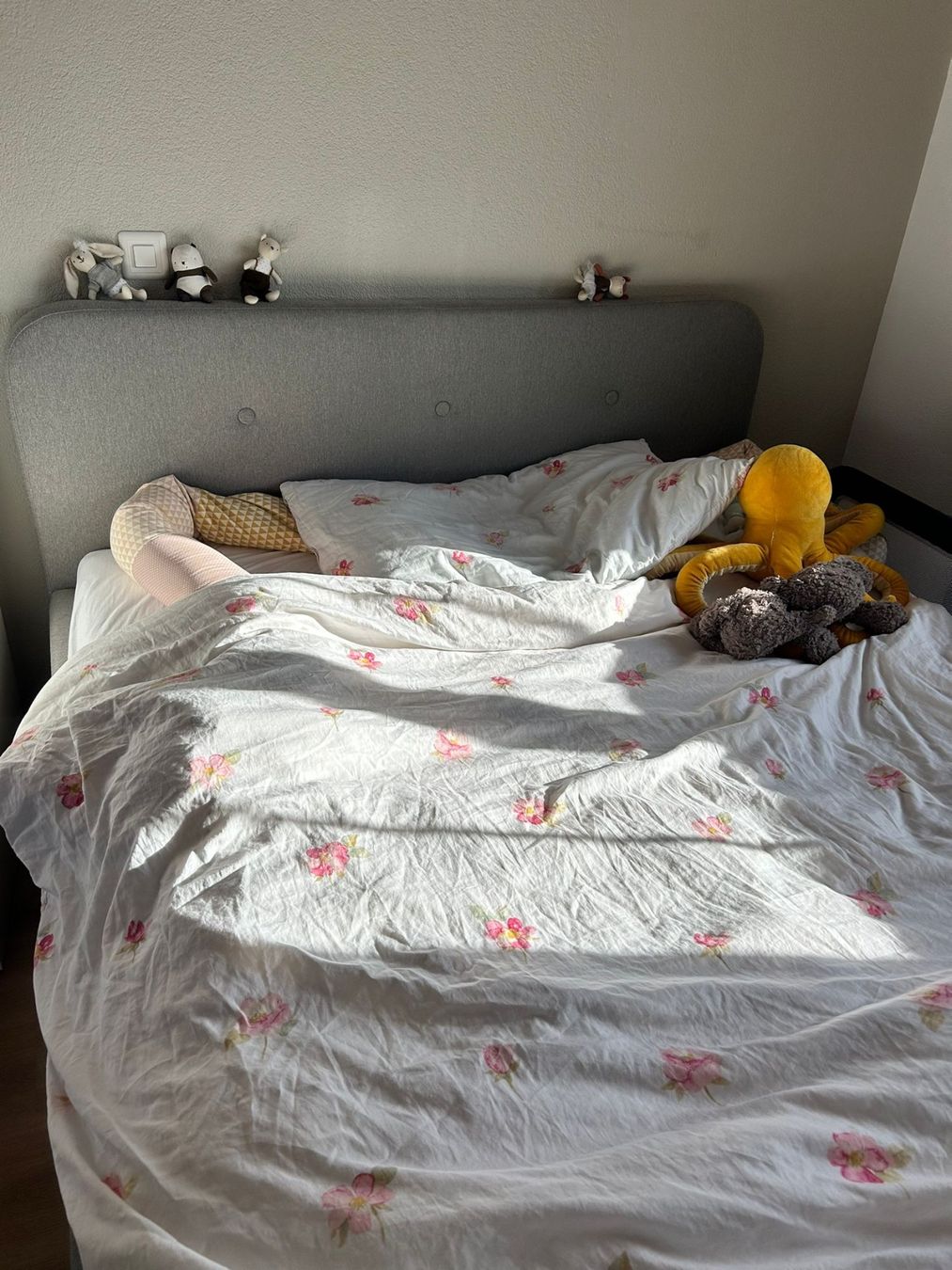 Jysk Letti: Jugendbett 1.60 x 2.00m – Usato da Zuckenriet venduto da Fabre87
