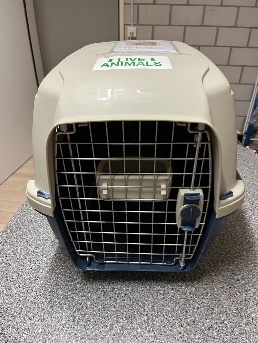 Käfige, Transport & Sicherheit: Hunde Transport Box – Gebraucht aus Nänikon von Camy