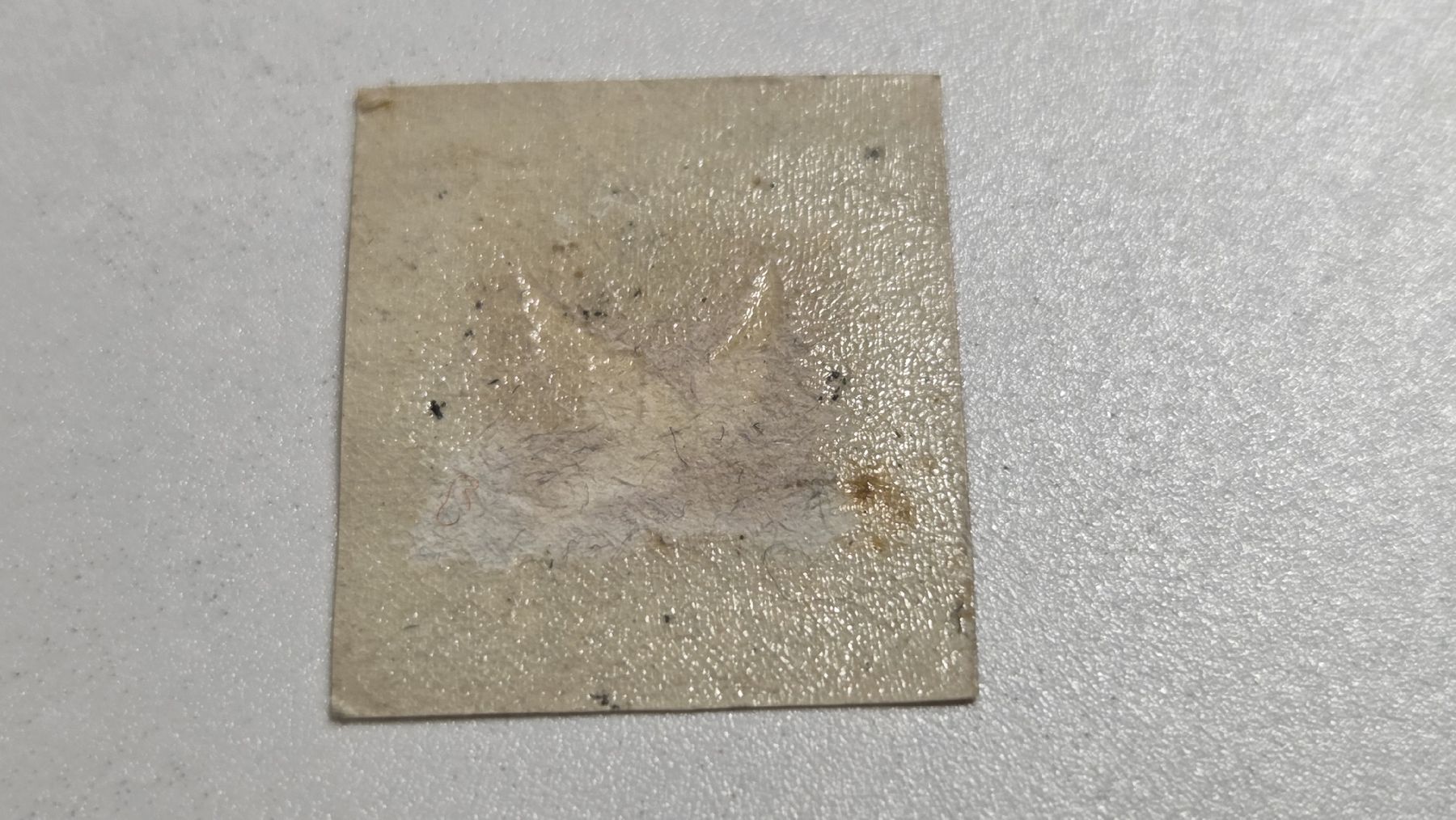 Tous les timbres: Replika Basler Taube – D'occasion à Arni AG par Moth68 1