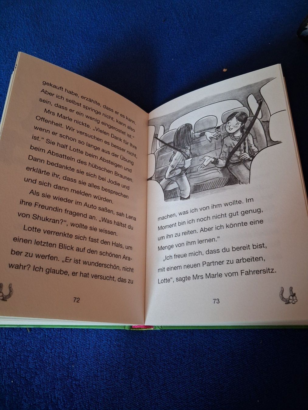 Bücher: Ponyhof Apfelblüte Band 17 – Gebraucht aus Bächli (Hemberg) von Stern015 1