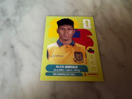 Panini Fifa Fussball WM 2026 Sticker Nilson Angulo ECU 17