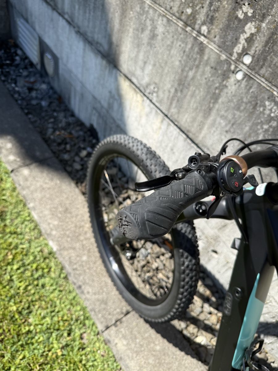 Specialized Biciclette: Specialized E-Mountainbike, Akku defekt – Difettoso da Baar venduto da vartam 3
