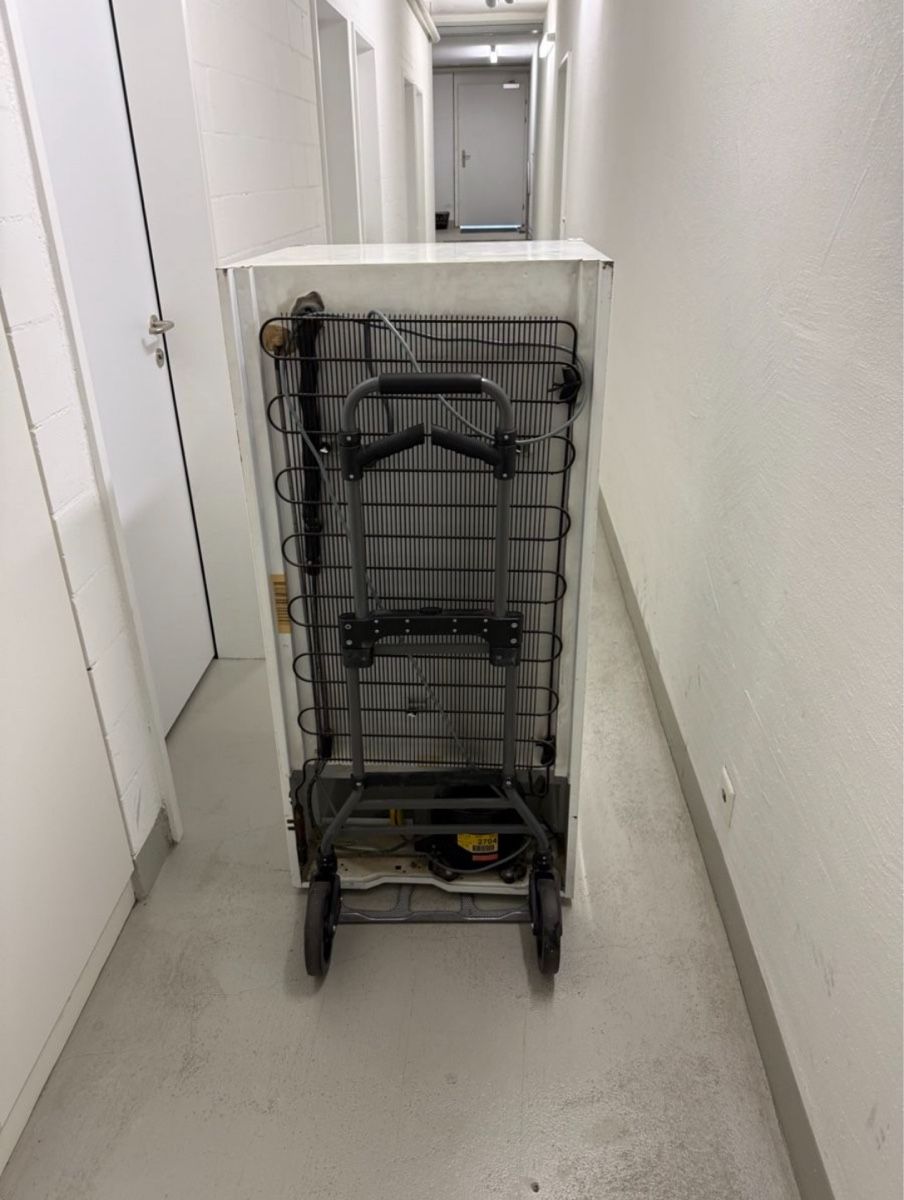 Congelatori: Electrolux Gefrierschrank mit Schubladen – Usato da Uster venduto da sil_6ndz 4