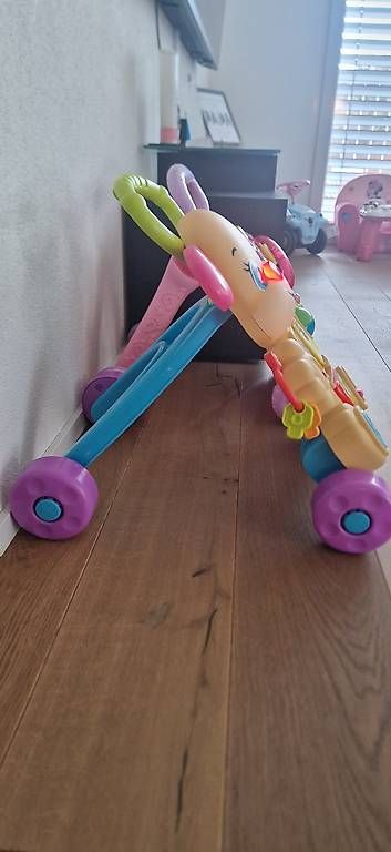 Fisher-Price Veicoli per bambini: Lernlaufhilfe Hund – Usato da Plons venduto da fra_8cp5 1