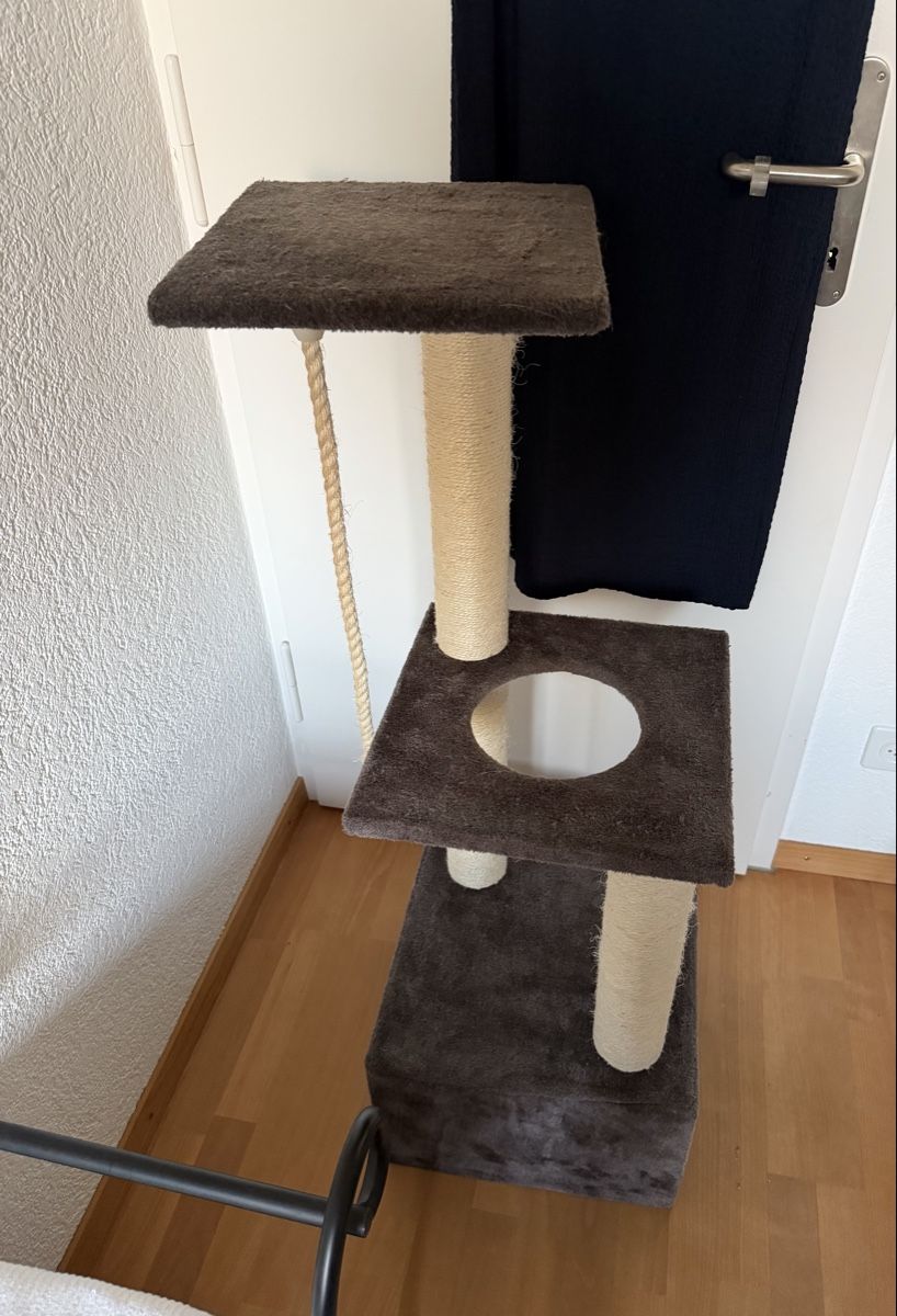 Tiragraffi: Kratzbaum Katzen – Usato da Bern venduto da Balucodor 1