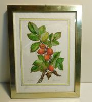 Aquarell - Bild Zeichnung signiert   26 x 2