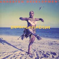 Arrested Development (CD) Zingalamaduni