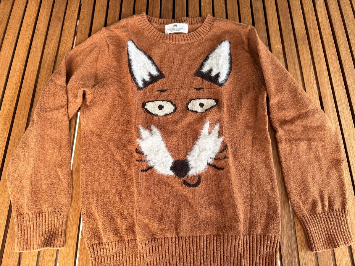 H&M Pulls et sweat-shirts: Fuchs-Pullover in Grösse 122/128 – D'occasion à Rotkreuz par ZG6343