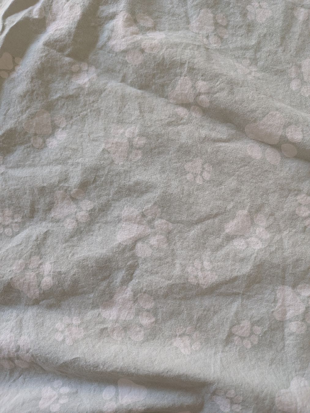 Micasa Coperte: Kinder Duvetbezug Migros Micasa – Usato da Eschenbach SG venduto da SanFranciscoCalifornia 1