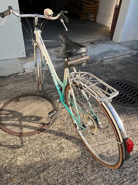 Biciclette: Damenvelo Alpina – Usato da Eschikofen venduto da noweli 2