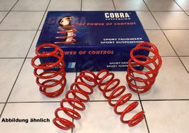Cobra Federnsatz 30/20mm Audi A6