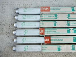 1 Neonröhre Leuchtstoffröhre OSRAM L 38W/21-840  COOL WHITE