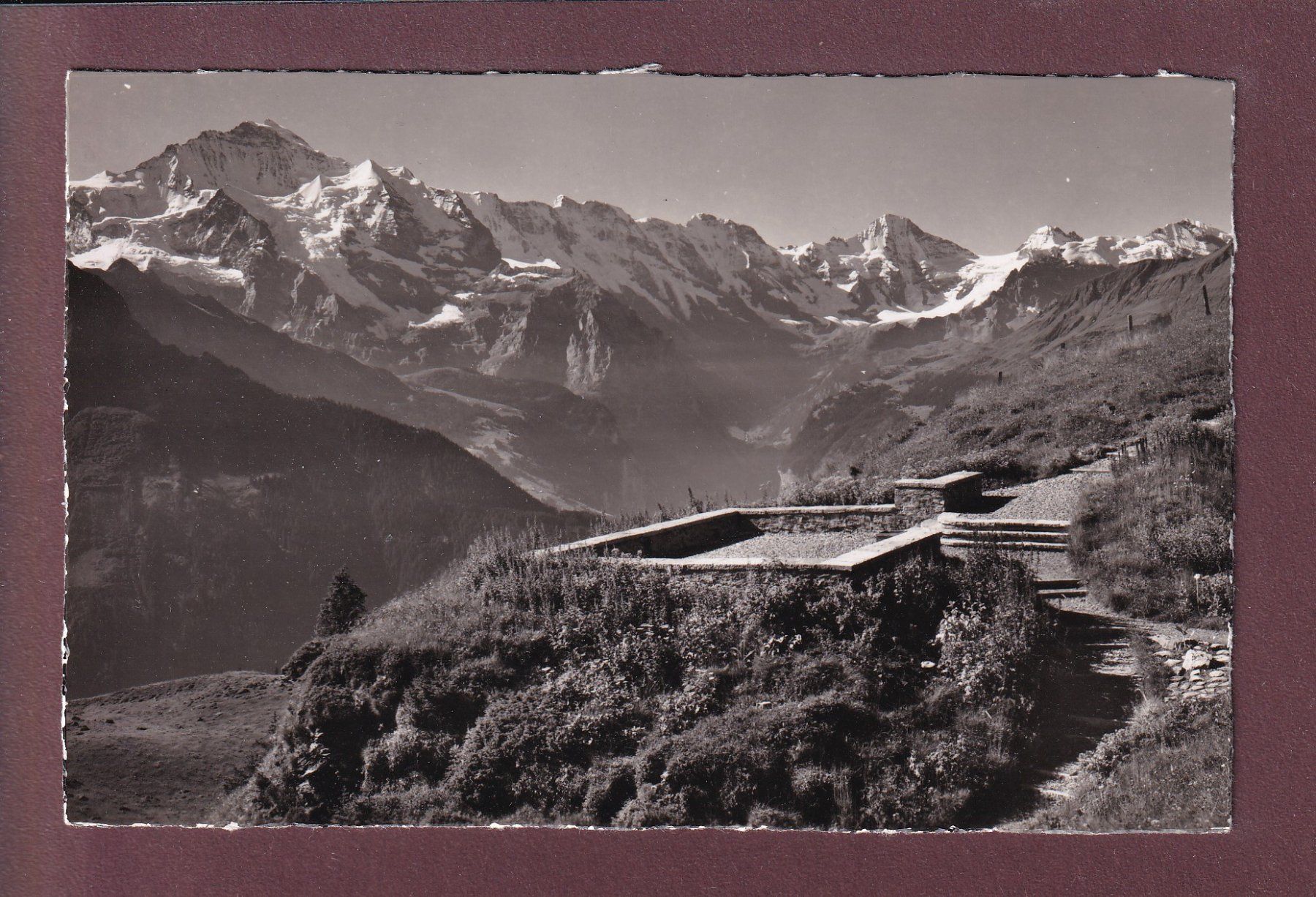 Cartoline postali: SCHYNIGE PLATTE - Alpengarten – Usato da Pully venduto da nicecards