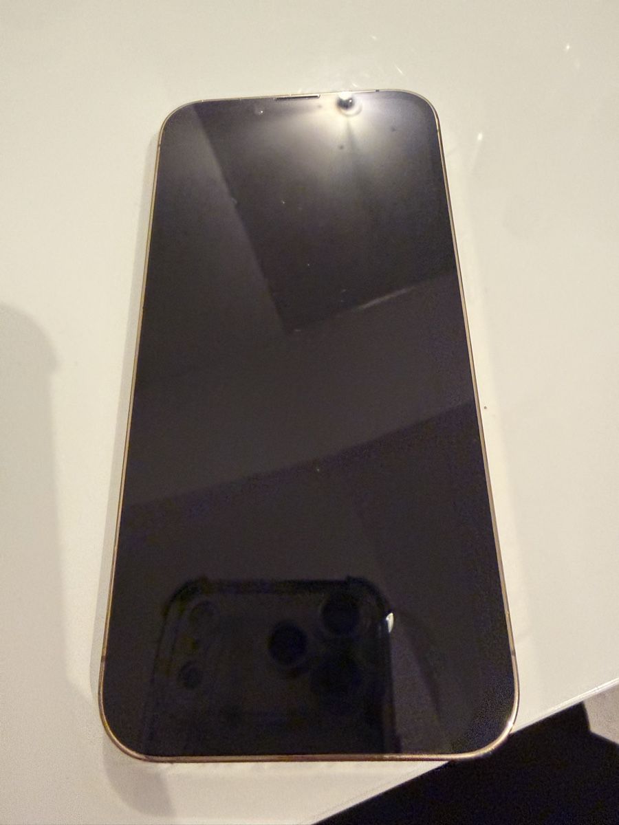 Apple Telefoni cellulari / Smartphones: Iphone 13 Pro Gold - bon état  – Usato da Neuchâtel venduto da Rosavitabella