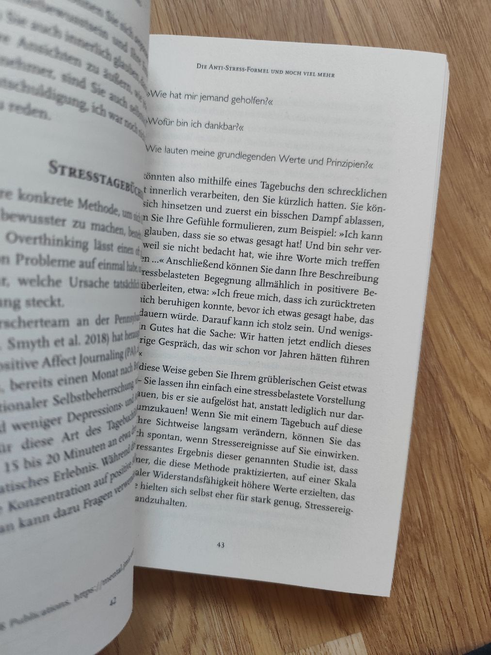 Bücher: Stop Overthinking Book by Nick Trenton – Gebraucht aus Mägenwil von VintageGirly 4