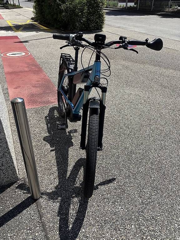 Biciclette: Reise & Muller 45 kmh – Usato da Grand-Lancy venduto da smo_xv2h 2