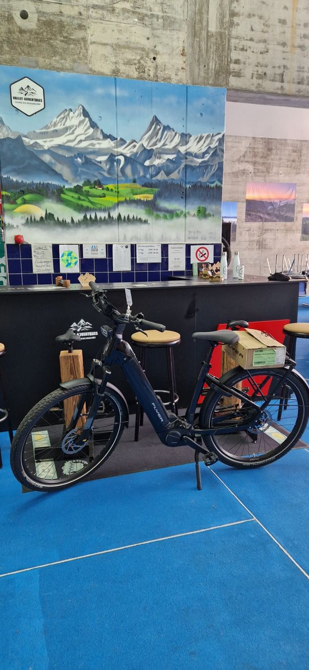 Flyer Biciclette: Neues Flyer Upstreet 7.23 – Usato da Affoltern BE venduto da sall34