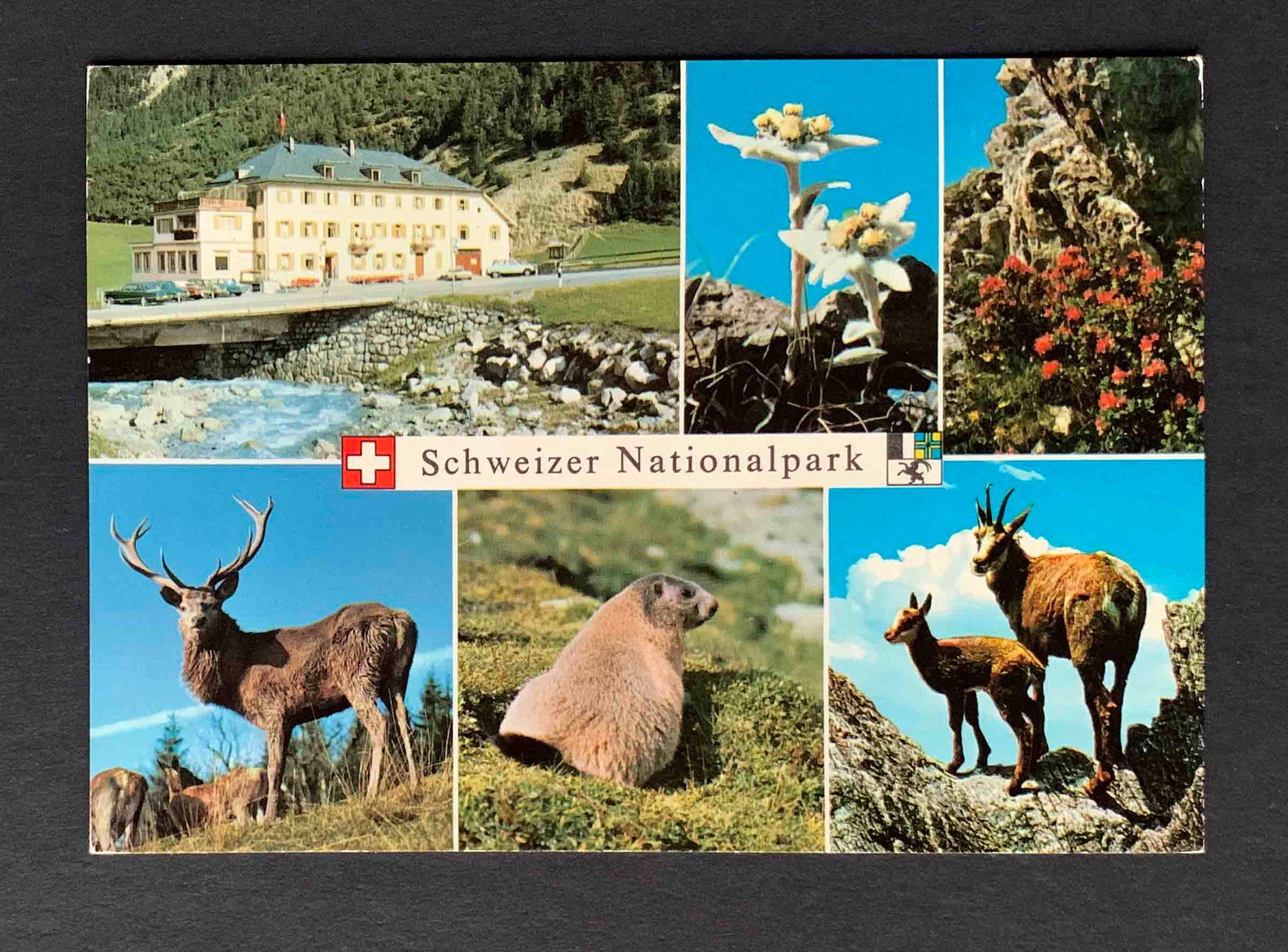 Cartoline postali: AK Schweizer Nationalpark – Usato da Goldau venduto da artelier1