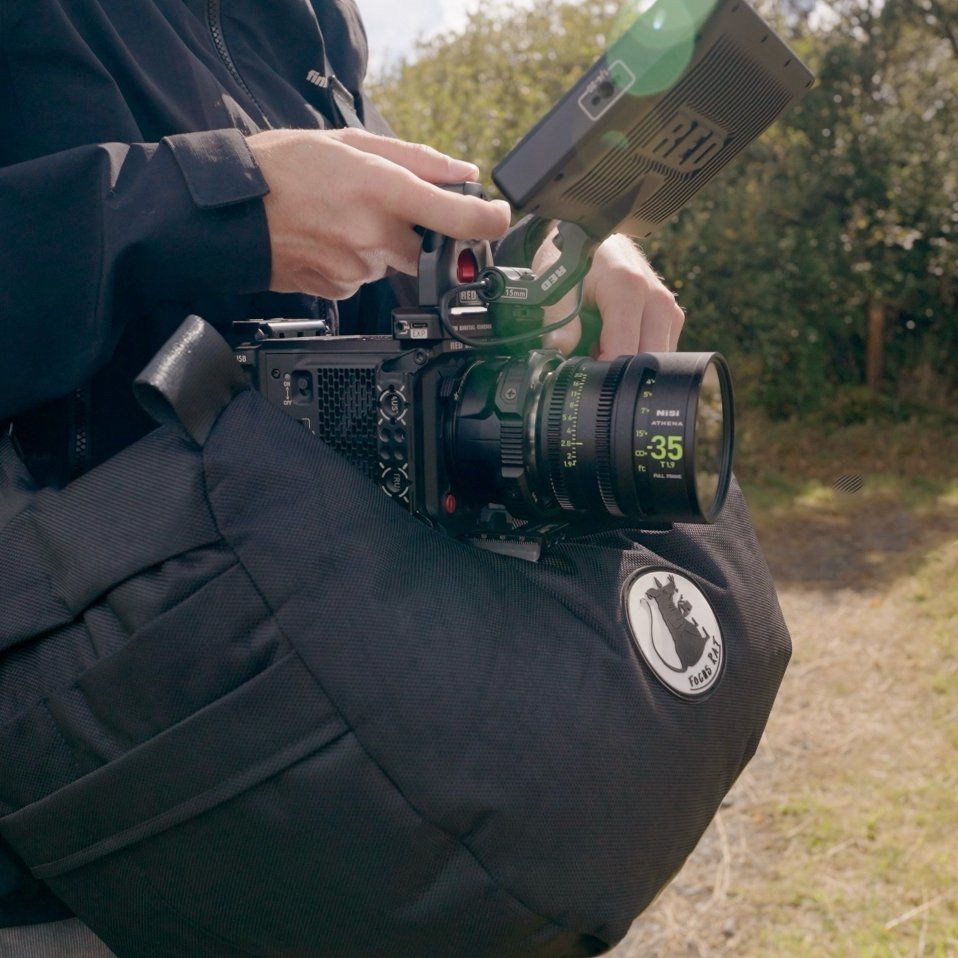 Videocamere: Focus Rat Camera Stabilizer (Ciné Saddle Alternative) – Nuovo (secondo la descrizione) da Luzern venduto da dunkelbunt 3