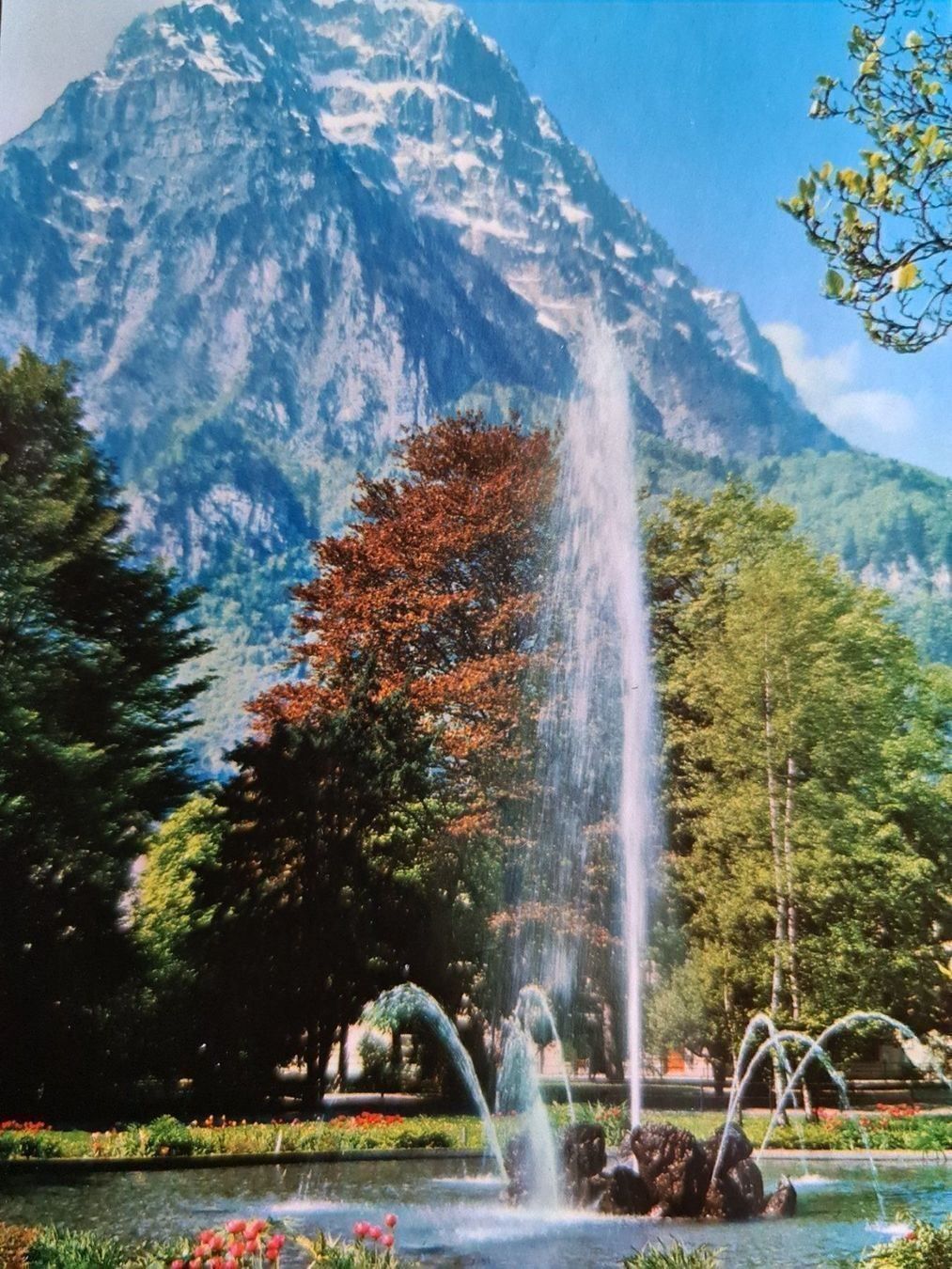 Cartoline postali: Ansichtskarte Volksgarten Glarus 1982 – Usato da Dintikon venduto da Vexi