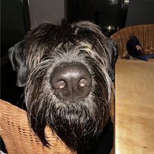 Profile image of mellamoflorence