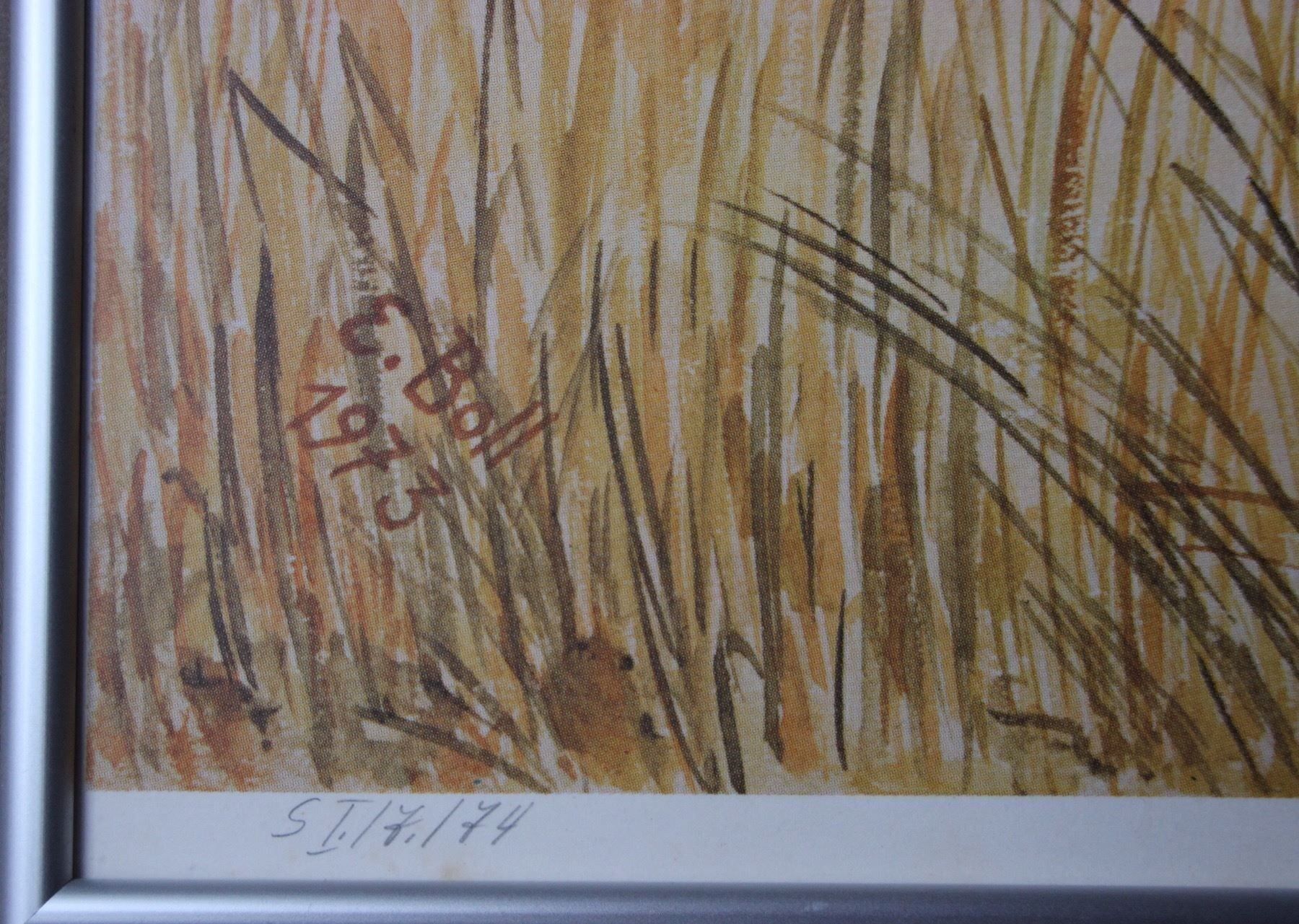 Grafica & Litografie: Tiger - Ernst Boll, Photolithografie – Usato da Hermetschwil-Staff venduto da Starbliggi 1