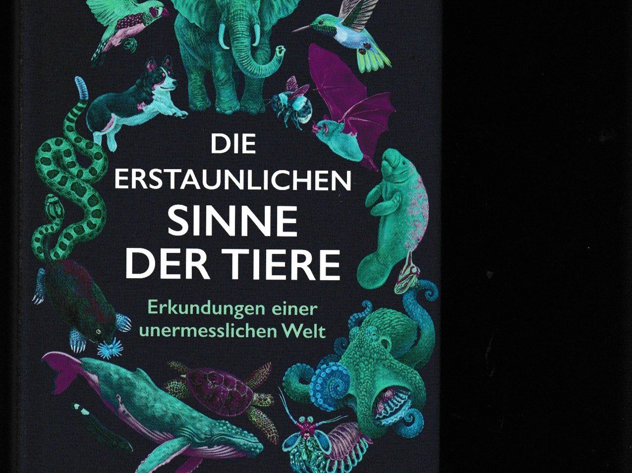 Livres: Die erstaunlichen Sinne der Tiere – Neuf (Voir description) à Chur par zowie72