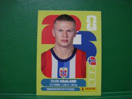 WM PANINI 2026 - ERLING HAALAND - NOR 15
