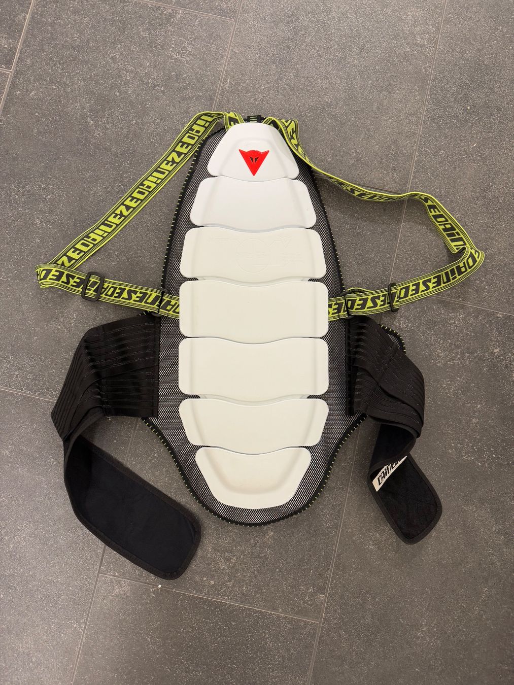Dainese Protezioni & Imbottiture: Dainese Back Protector – Usato da Herrliberg venduto da ton_xgs8