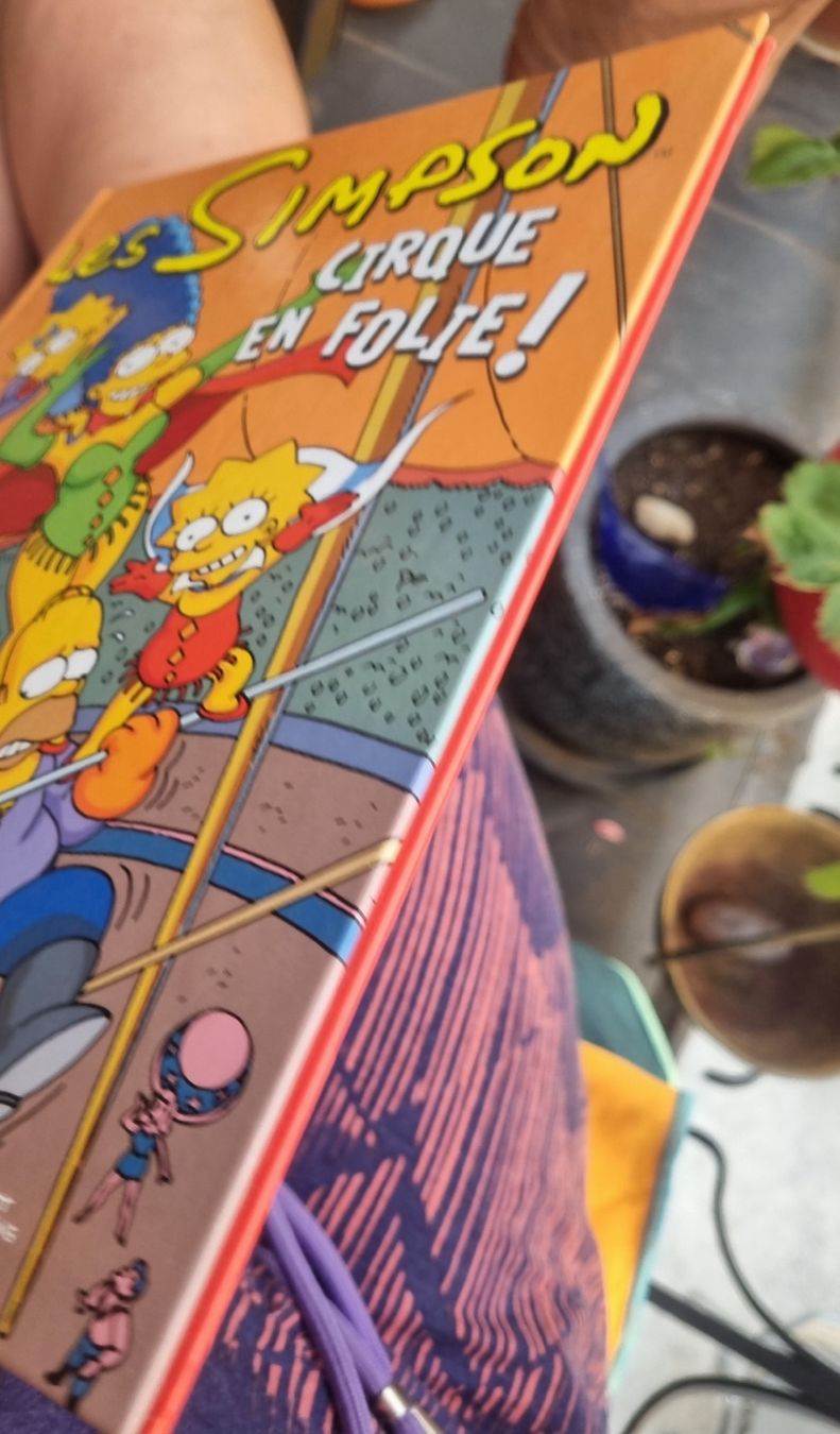 Fumetti: BD Les Simpson Cirque en folie!  – Usato da Fribourg venduto da sal_5ln6 3