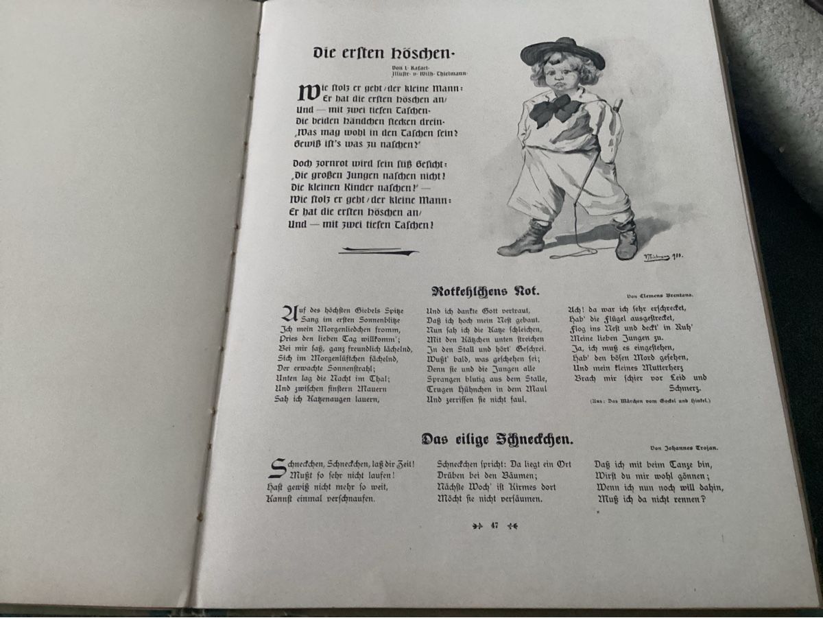 Libri: ANTIKES KINDERBUCH UM 1910 – Usato da Münchenstein venduto da NoSu98 6